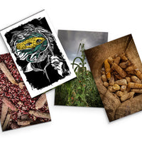 Cajita con Postales 10° Aniversario