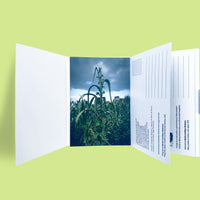 Cajita con Postales 10° Aniversario