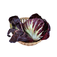 Radicchio - pza