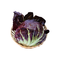 Radicchio - pza