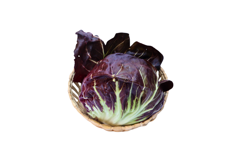 Radicchio - pza