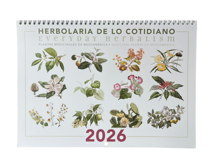 Calendario 