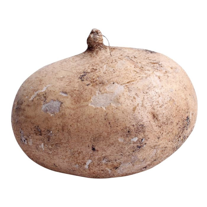 Jícama -  1 kg