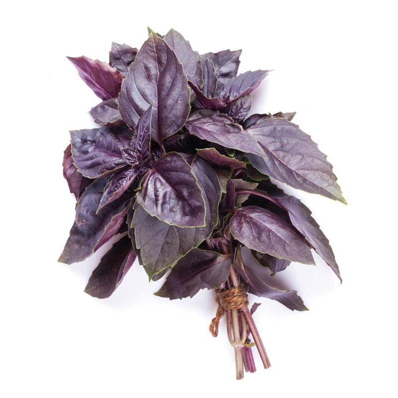 Albahaca morada | 100 gr