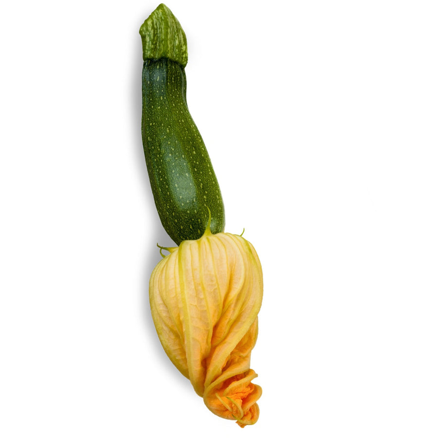 Calabaza italiana - kg