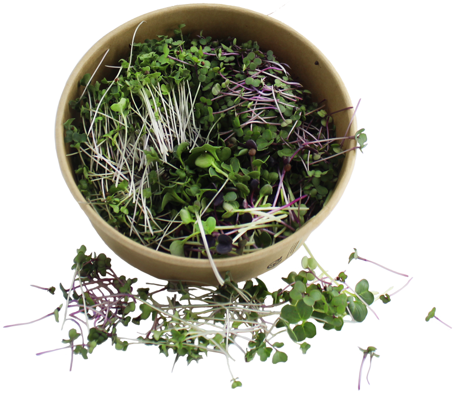 Microgreens (DETOXMIX) - 55g