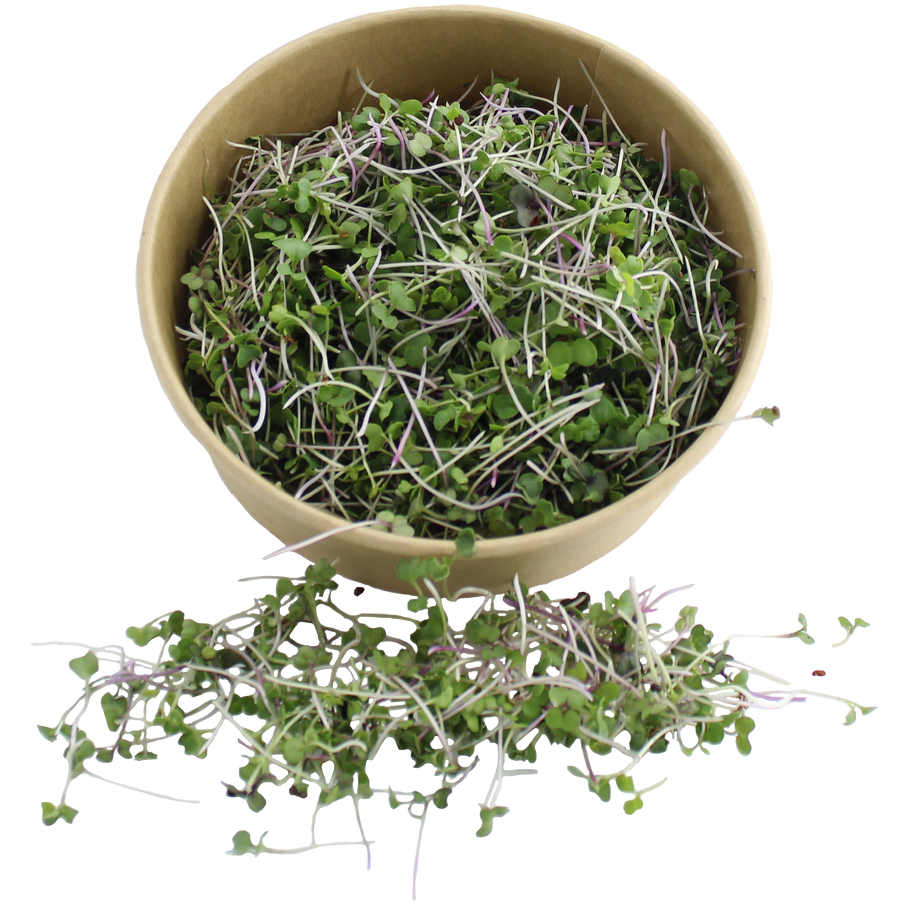 Microgreens (VITALXMIX) - 50g