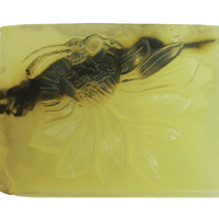 Jabón de Miel y Lavanda