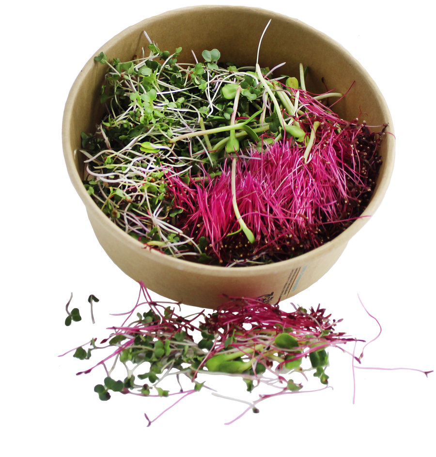 Microgreens - 55g