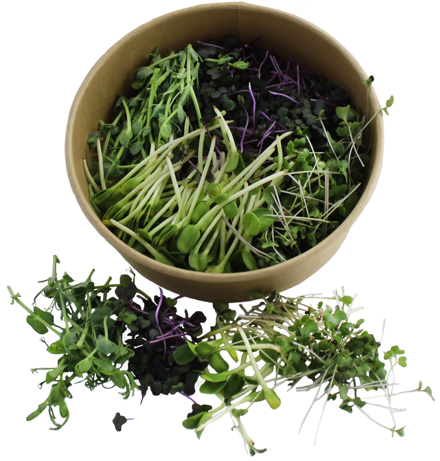 Microgreens (PROTEINMIX)- 55g