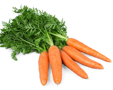 Zanahoria | manojo 450 gr