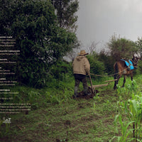 Actividades Agropecuarias en Tlalpan - Historia y vocación de sus pueblos