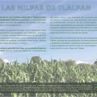 Calendario Agrícola de la Milpa en Tlalpan
