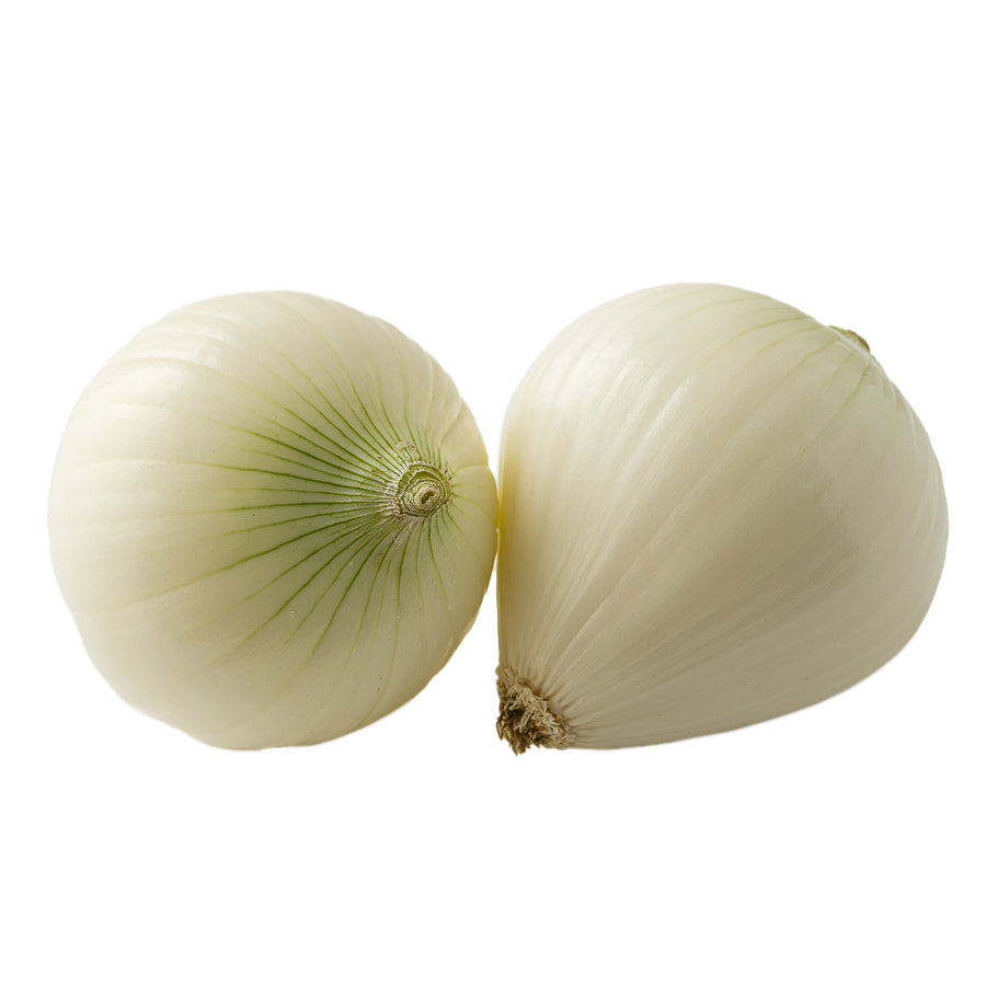 Cebolla blanca (mediana) - kg